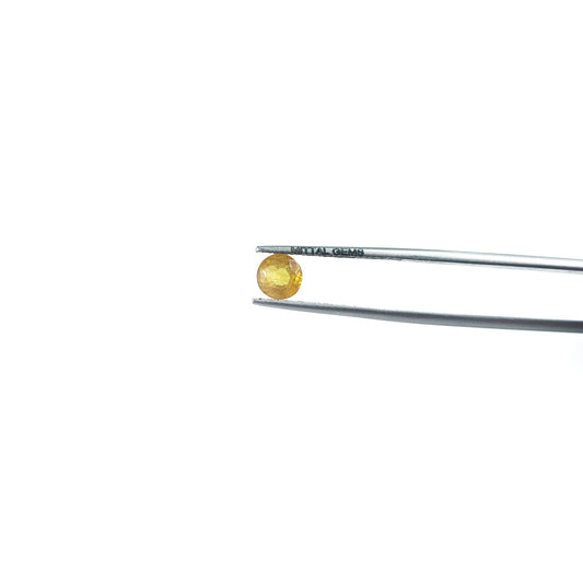 Natural Bangkok Yellow Sapphire Calibrated Rounds | 5mm & 6mm