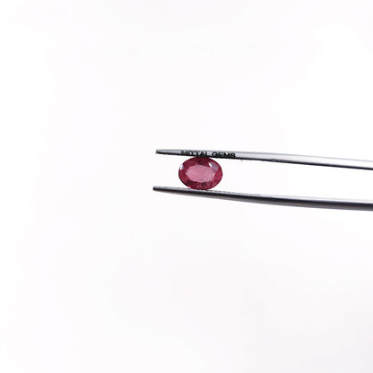 Natural Bangkok Ruby Calibrated Ovals | 5x7mm & 6x8mm