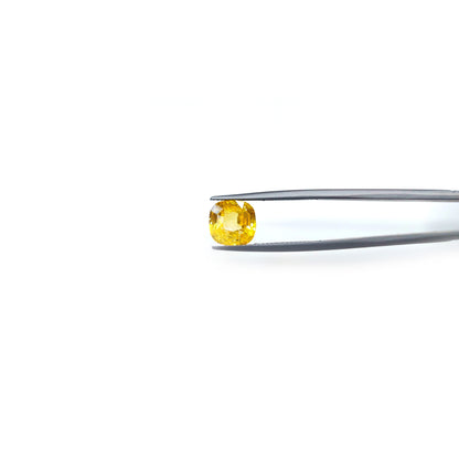 Natural Unheated Yellow Sapphire Cushion | 5.67cts